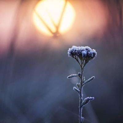 鄂尔多斯房产网